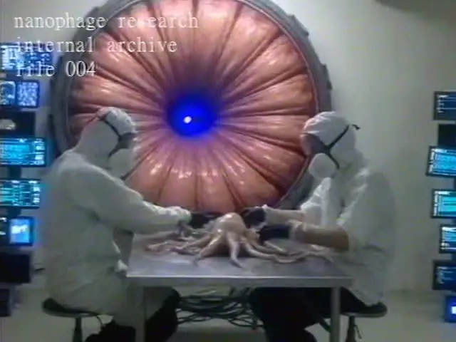 A large circular organic structure on a laboratory table in Internal Archive file 004.