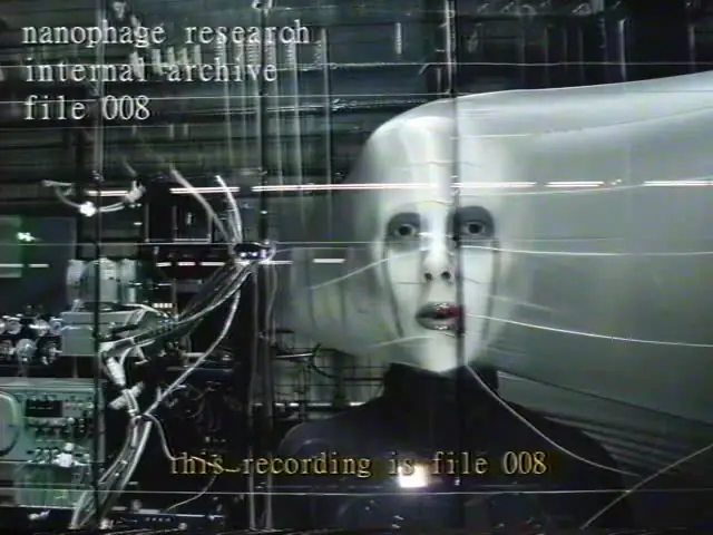 A pale face inside an apparatus in Internal Archive file 008.